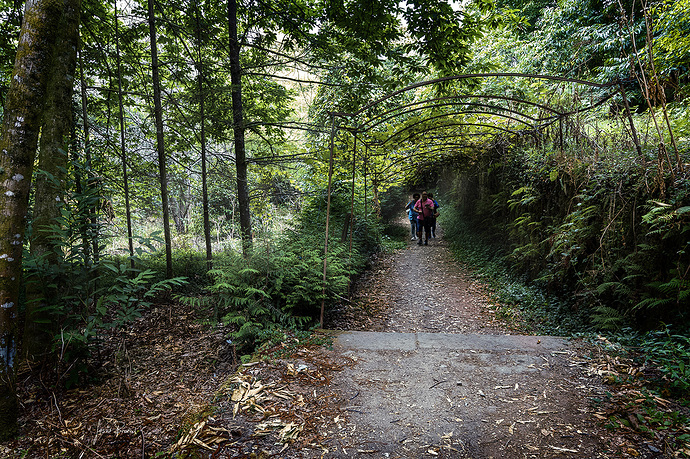 20250825a30 Galicia-208