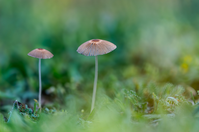 _DSC4792