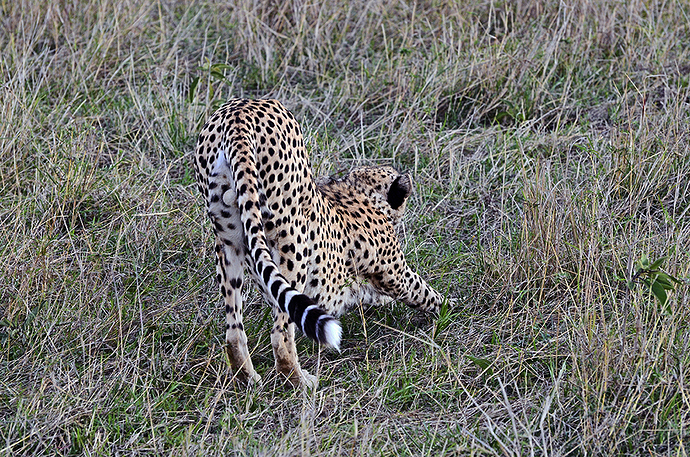 DSC_3715bb