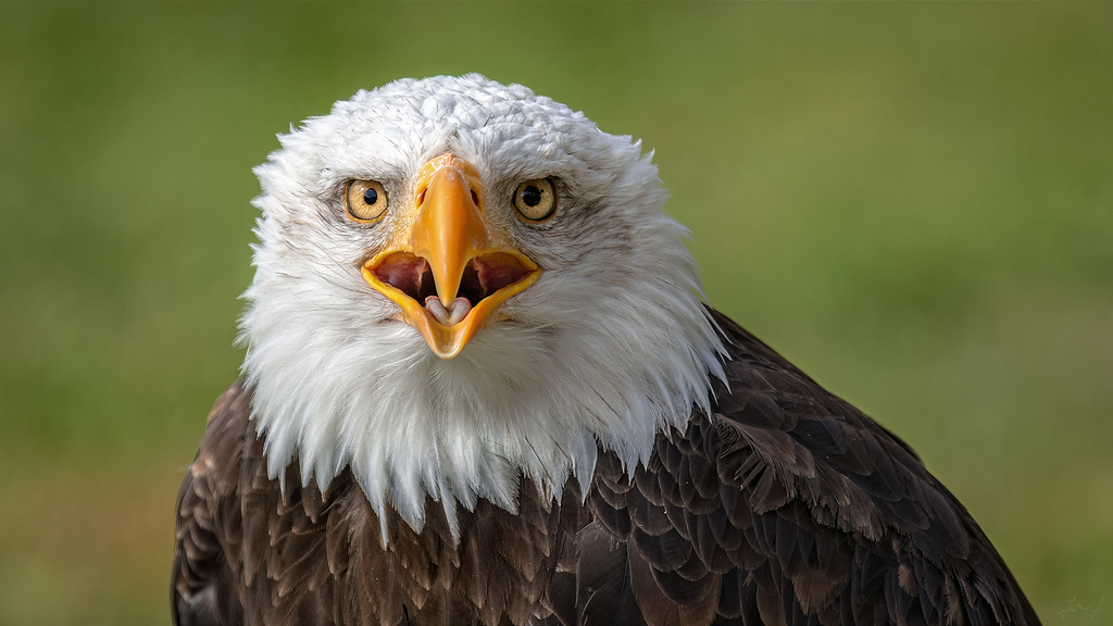 Conversaciones cara a cara