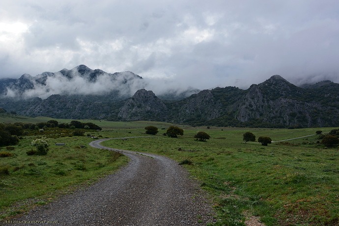 Llano del republicano 2