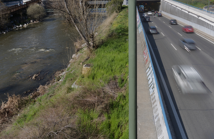 20260228_0084_1500x1000-II