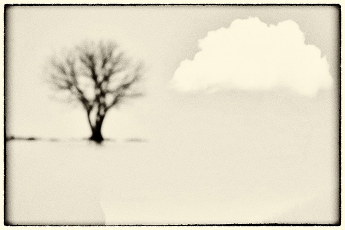 DSCF9778