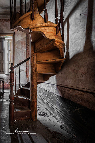 55042978919_faa66f1d7a_b