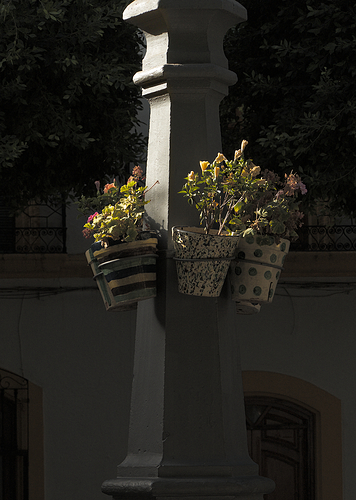 El primer rayo de sol