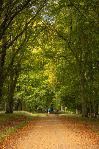 Otoño2026