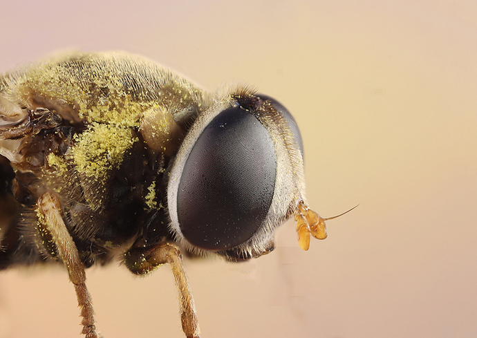 150-278-279-385 bfsfs