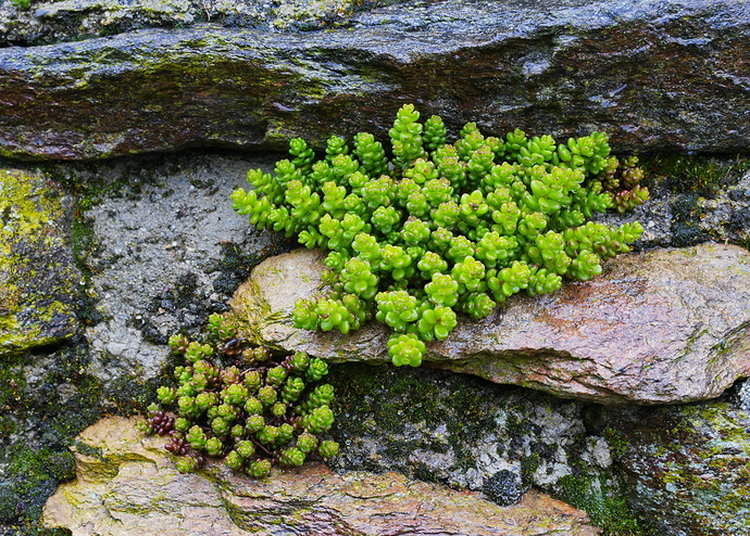 _DSC6219