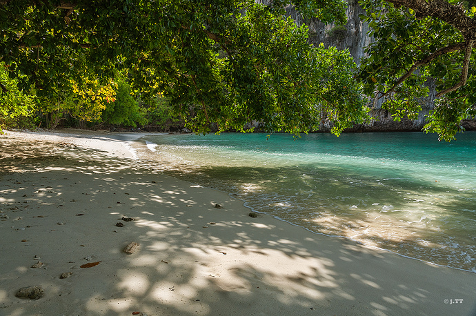 DSC_1000-106