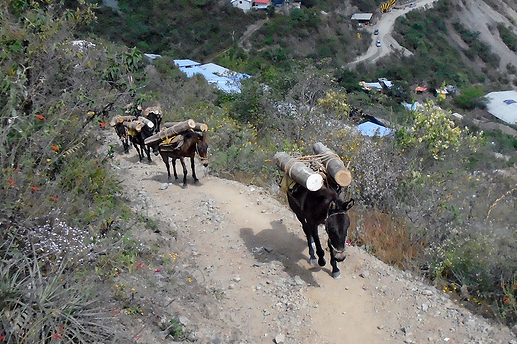 Transporte de madera 01_red