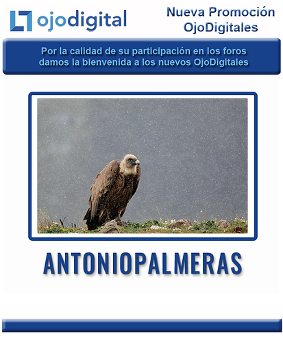 Promocion_OD_MAYO 2025