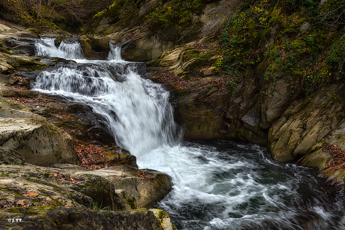 _DSC6382