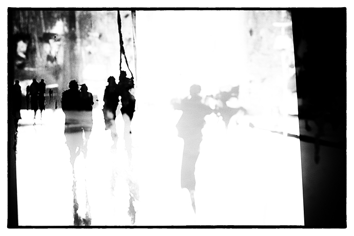 DSCF9781