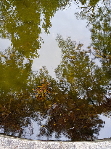 20220307_132552-900