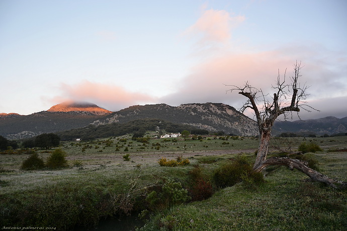 El viejo peral 3