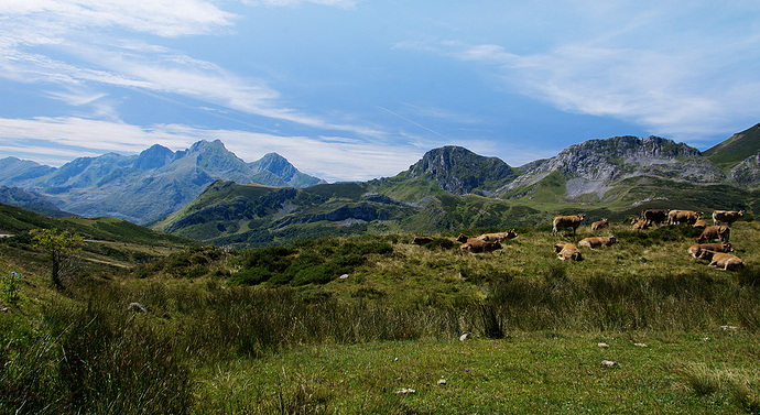 Entre Asturias y Leon