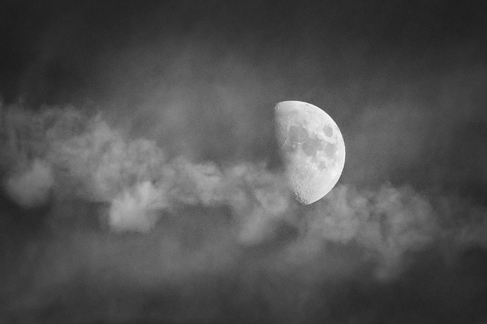 Luna LR
