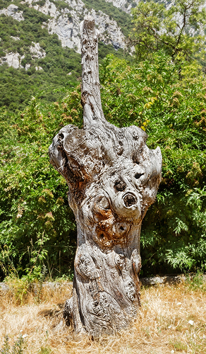 NUESTRA SEÑORA DE LEBEÑA JULIO 2012