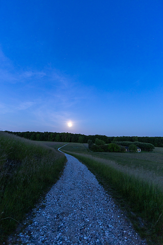 Camino