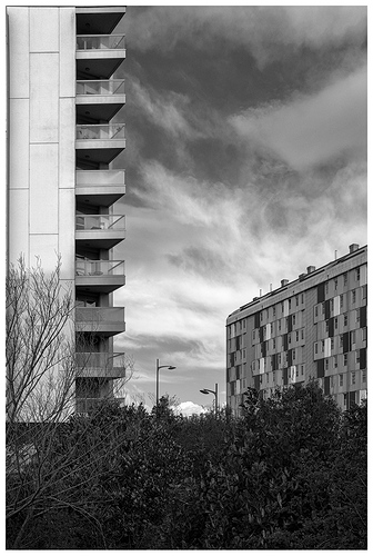 DSCF5413