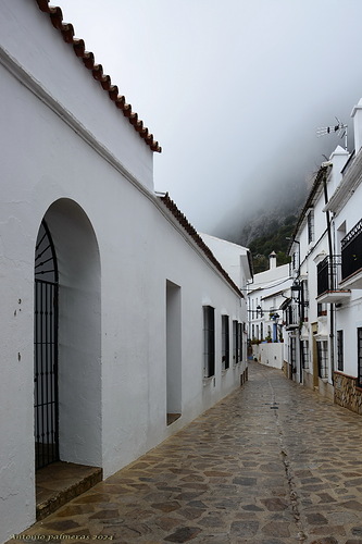 calle real
