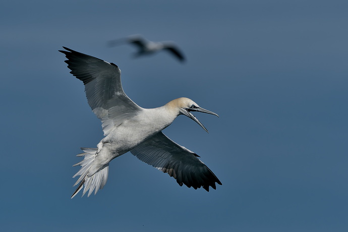 20260222-_MAC gepec f 0396F