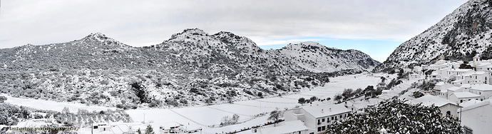 nevada