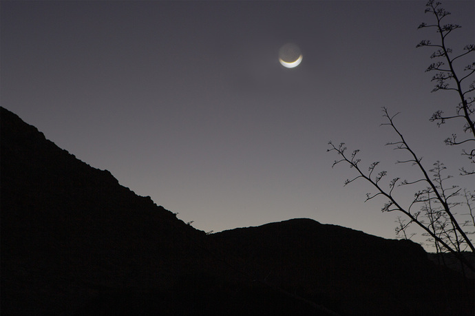 Nocturna