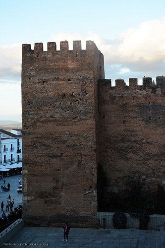 Torre de la hierba 2