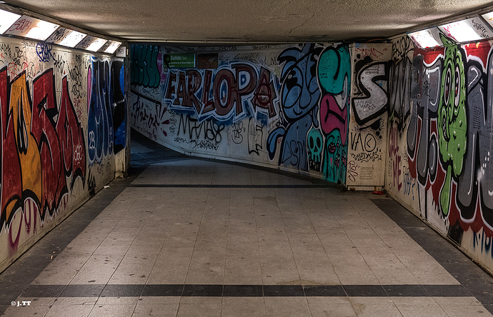 _DSC5562