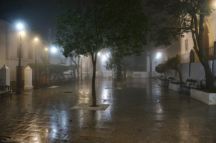 Nieblas en la plaza