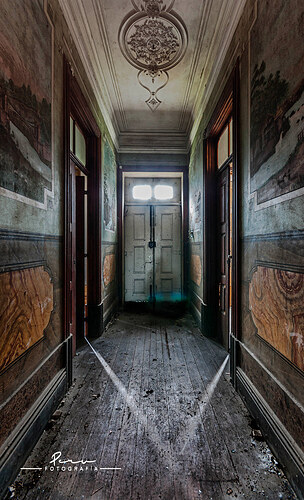 55045145119_a024e000fb_b