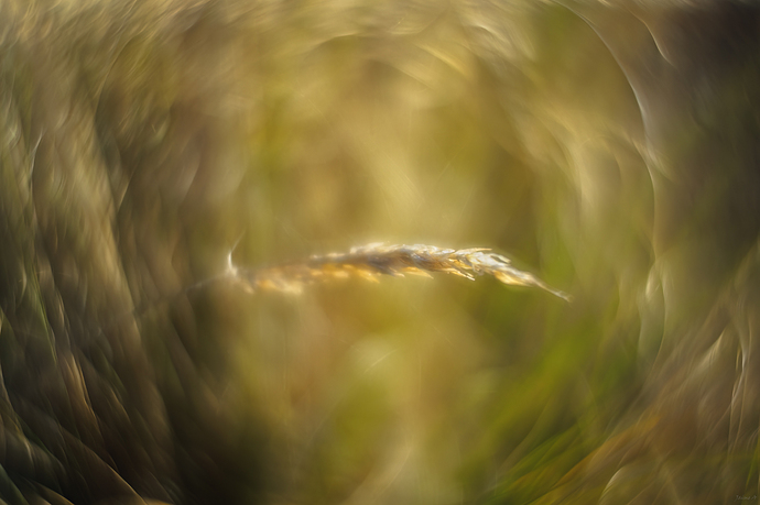 _1010053 2p