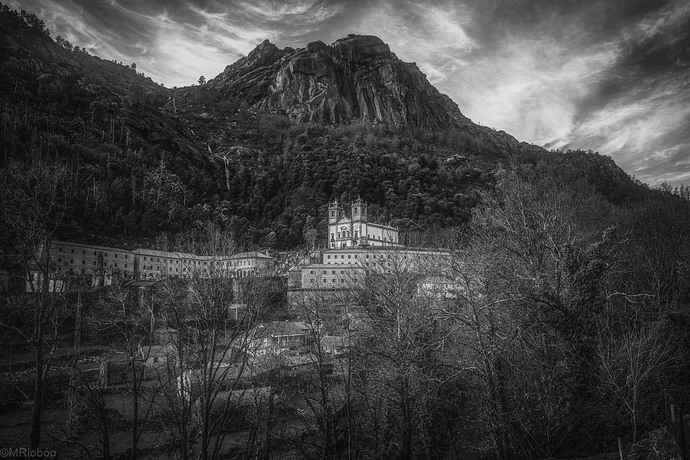 _MG_3452-Bn
