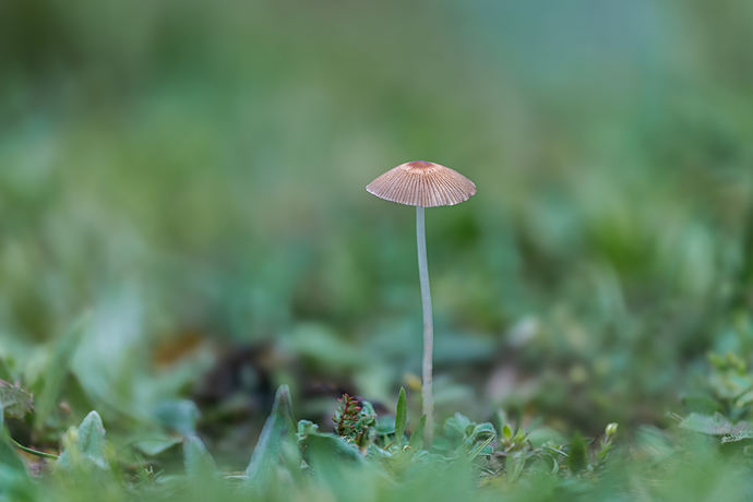 _DSC4787