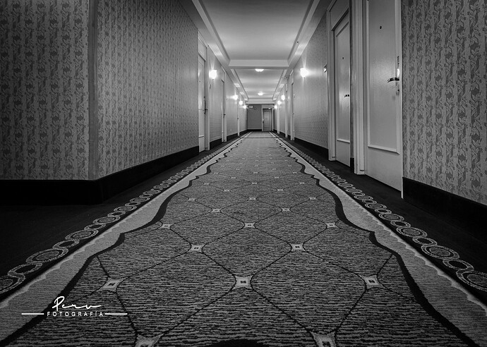 54954148138_00608ccc23_h