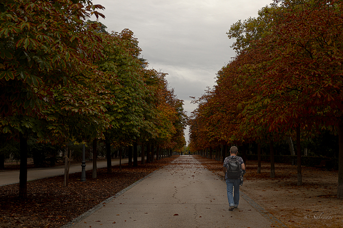 Walking,  El Retiro central park - Madrid-2