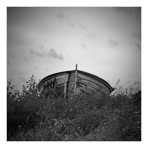 _XE21381 b