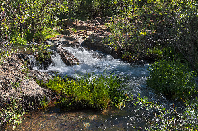 _DSC0430