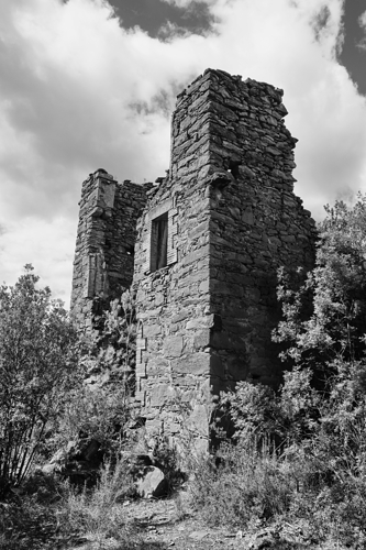 _DSC2913