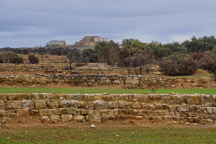 _DSC0211