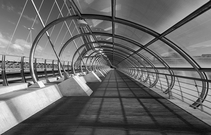 Zaragoza-2015-000530