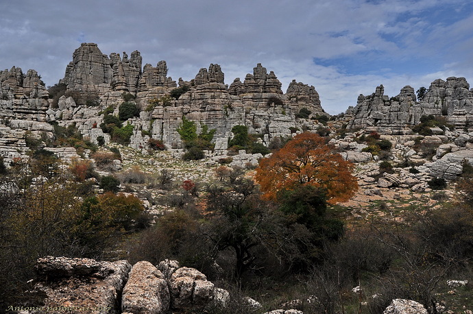 Torcal de Antequera