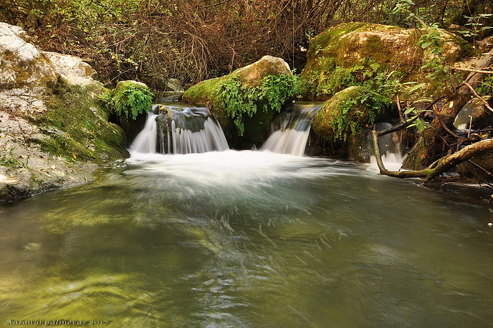 rincones del bosque 2