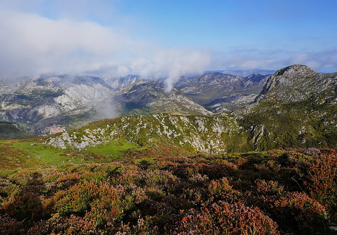 _DSC6902_redimensionar