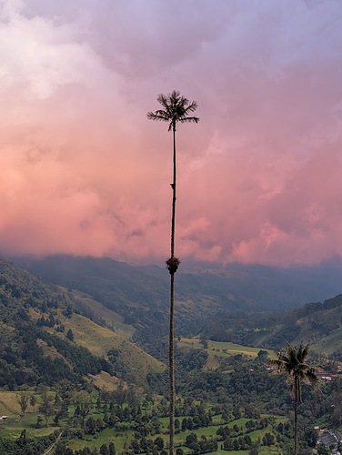 PXL_20250621_173250720~2