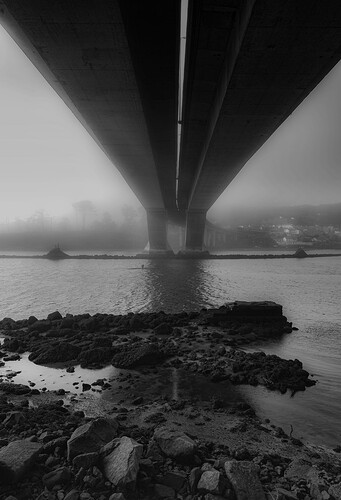 55119912189_386e405d4c_h