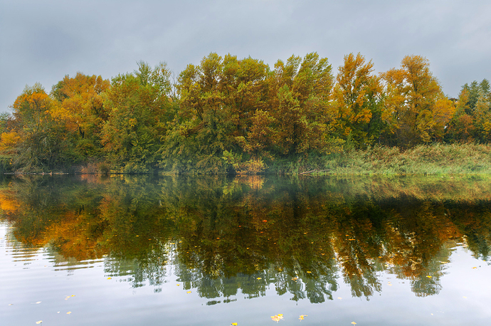 32779511c2e7258e41de20b810691e80692d2ad0