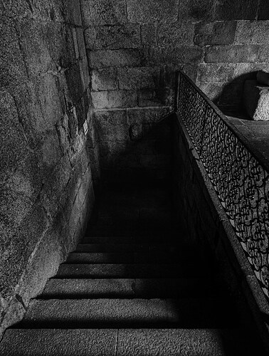 55191758974_62a7a2a22e_b