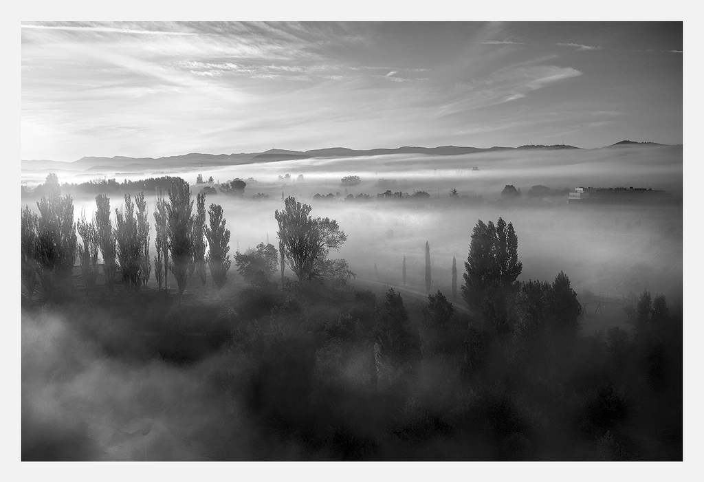 Paisaje en B/N